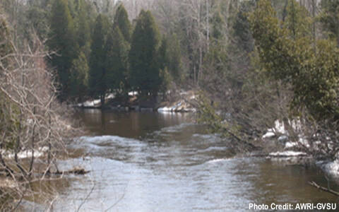 A river flows through a wintery forest with mixed tree species.